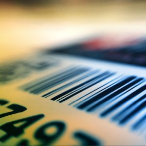 Asset & Library Laminated Labels
